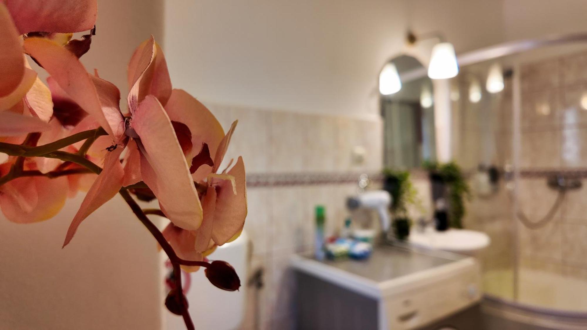 Intimo Oldtown Romantic Apartment Braşov Exterior foto